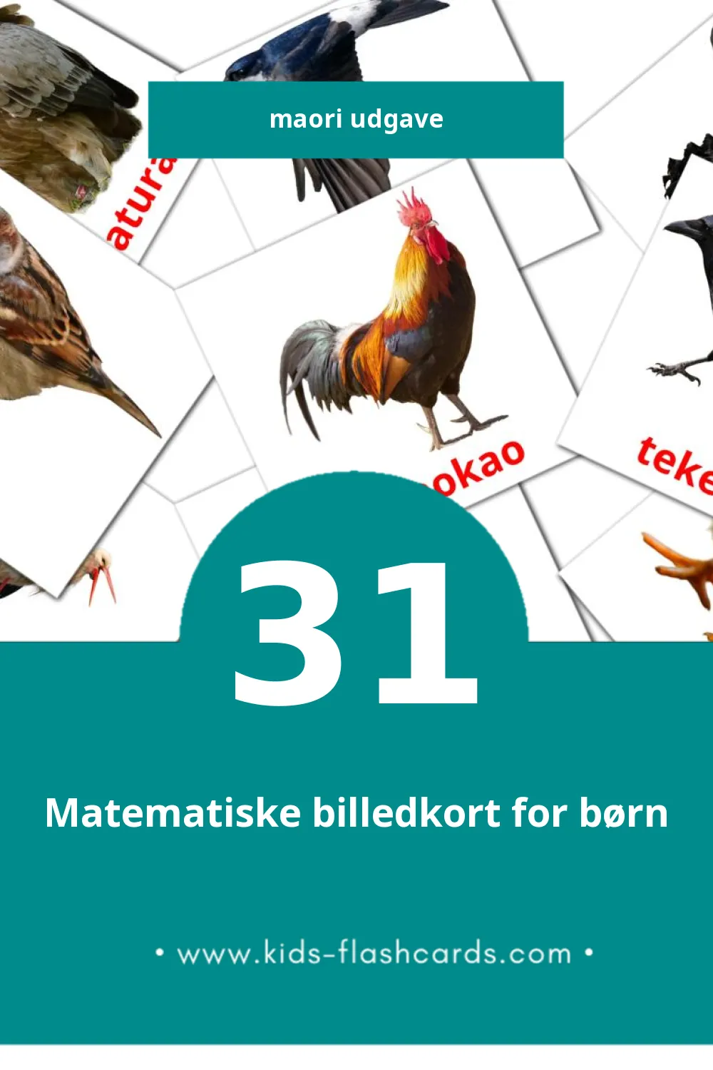 Visuelle billedkort for børn om Manu til småbørn (31 kort på Maori)