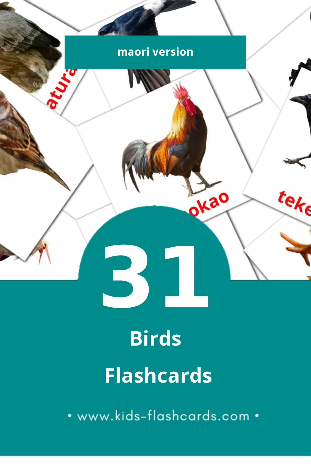 Visual Manu Flashcards for Toddlers (31 cards in Maori)