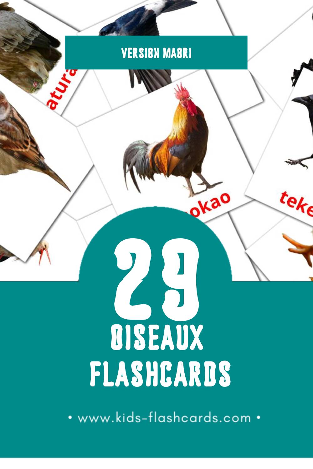 Flashcards Visual Manu pour les tout-petits (29 cartes en Maori)