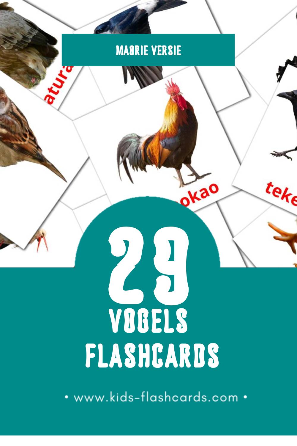 Visuele Manu Flashcards voor Kleuters (29 kaarten in het Maori)
