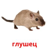 глушец card for translate