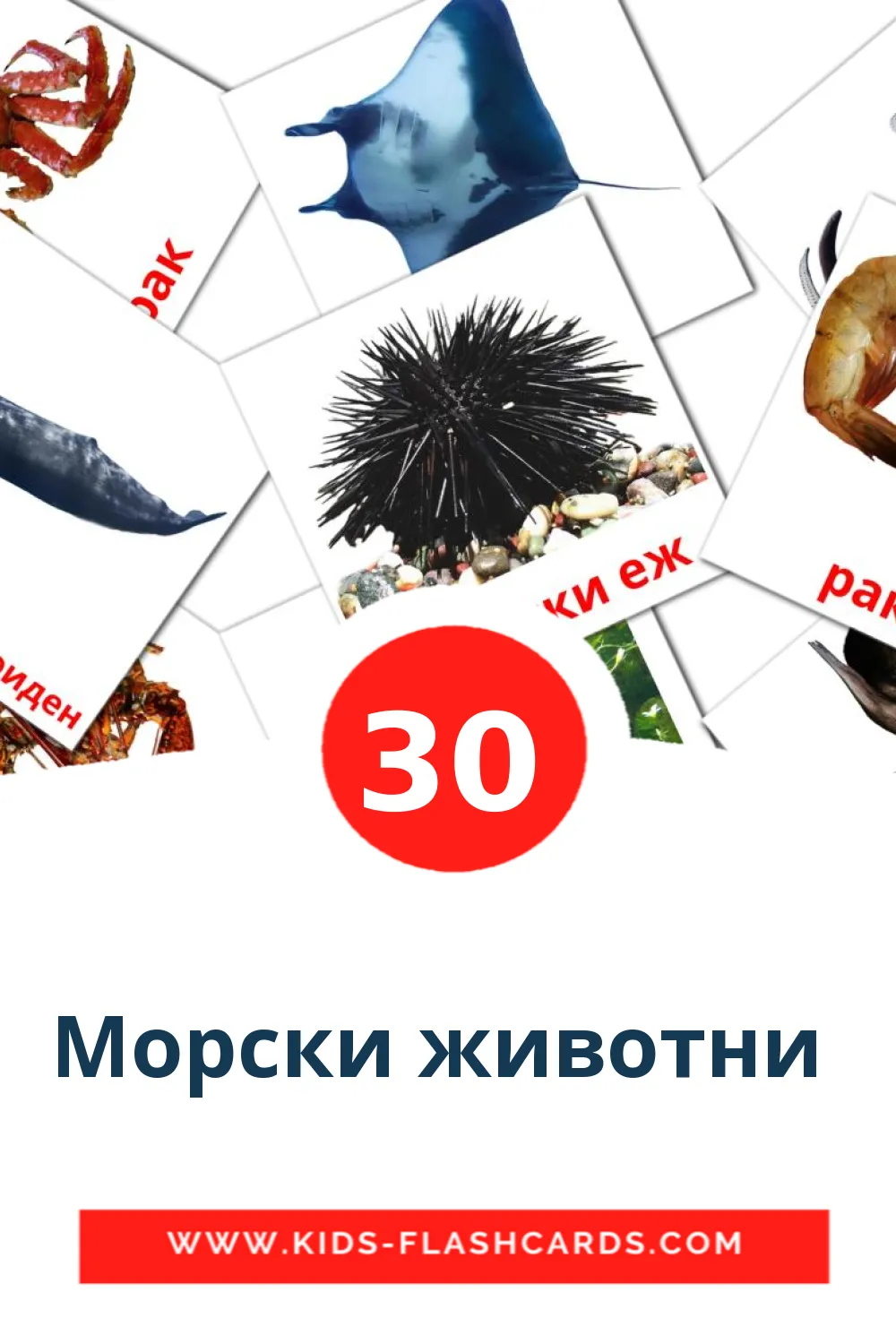 30 cartes illustrées de Морски животни  pour la maternelle en macédonien