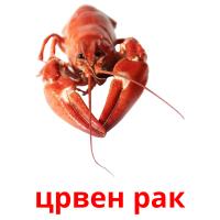 црвен рак card for translate