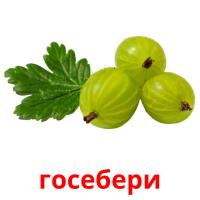 госебери picture flashcards