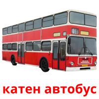 катен автобус flashcards illustrate