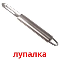 лупалка picture flashcards