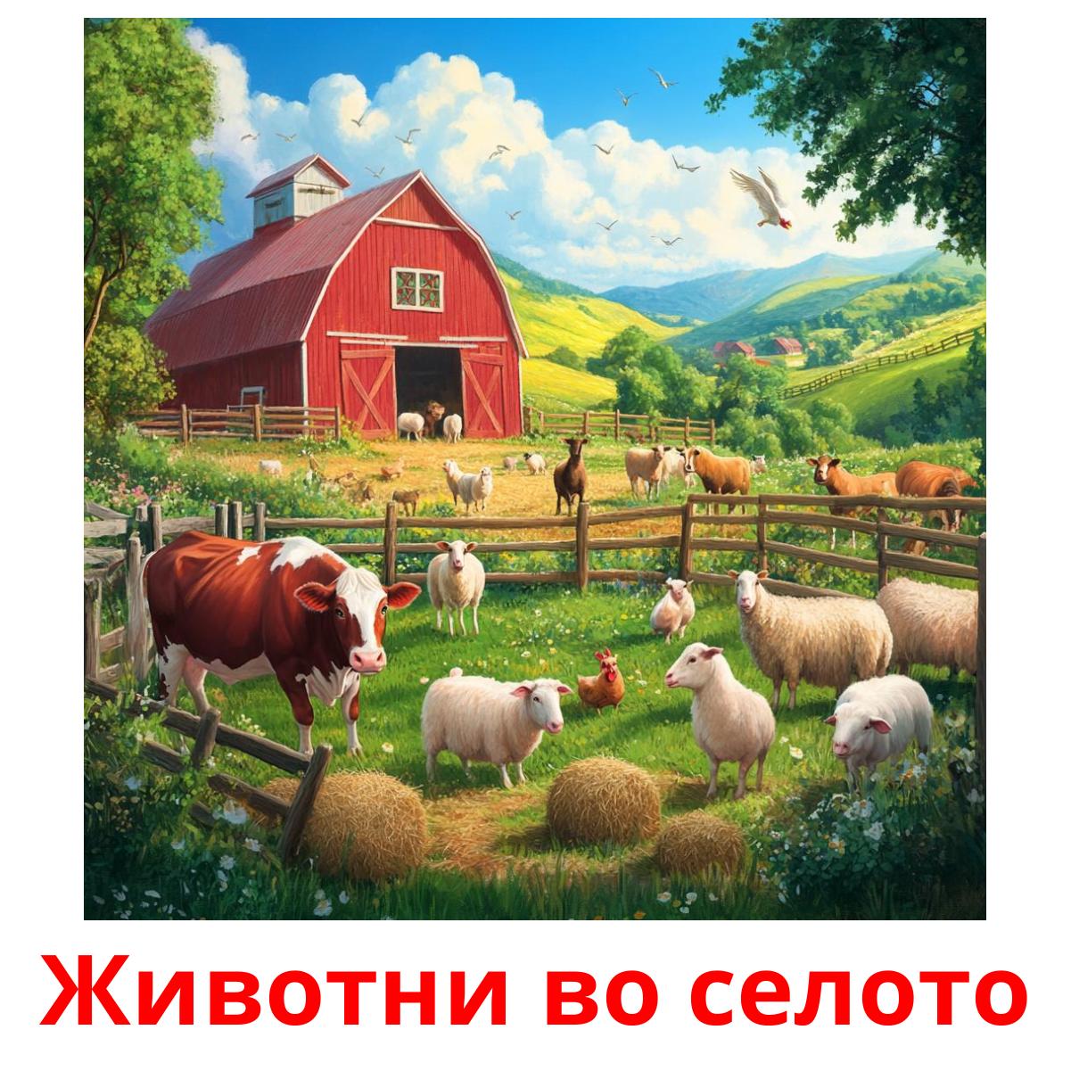 Животни во селото picture flashcards