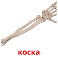 коска picture flashcards
