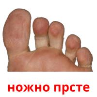 ножно прсте Tarjetas didacticas
