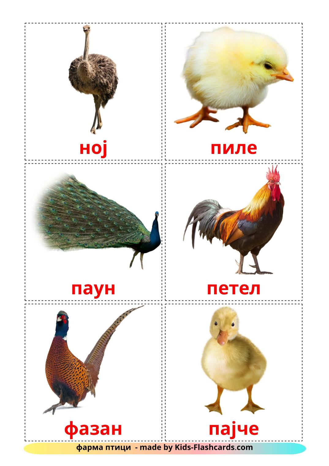 Farm birds - 11 Free Printable macedonian Flashcards 