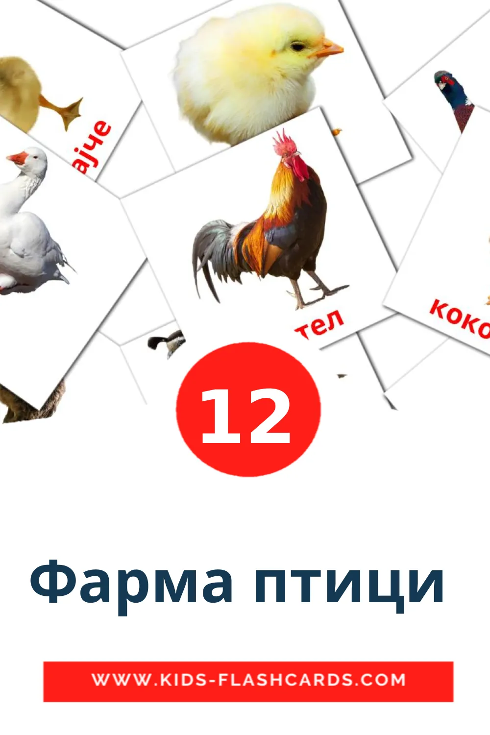 12 Фарма птици  Picture Cards for Kindergarden in macedonian