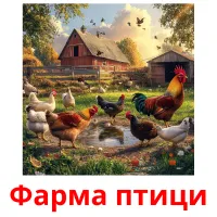 Фарма птици picture flashcards