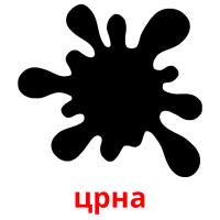 црна picture flashcards