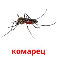 комарец карточки энциклопедических знаний