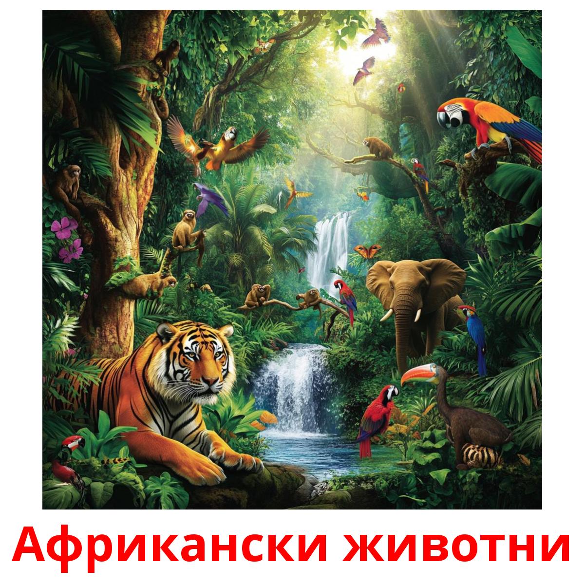 Африкански животни picture flashcards