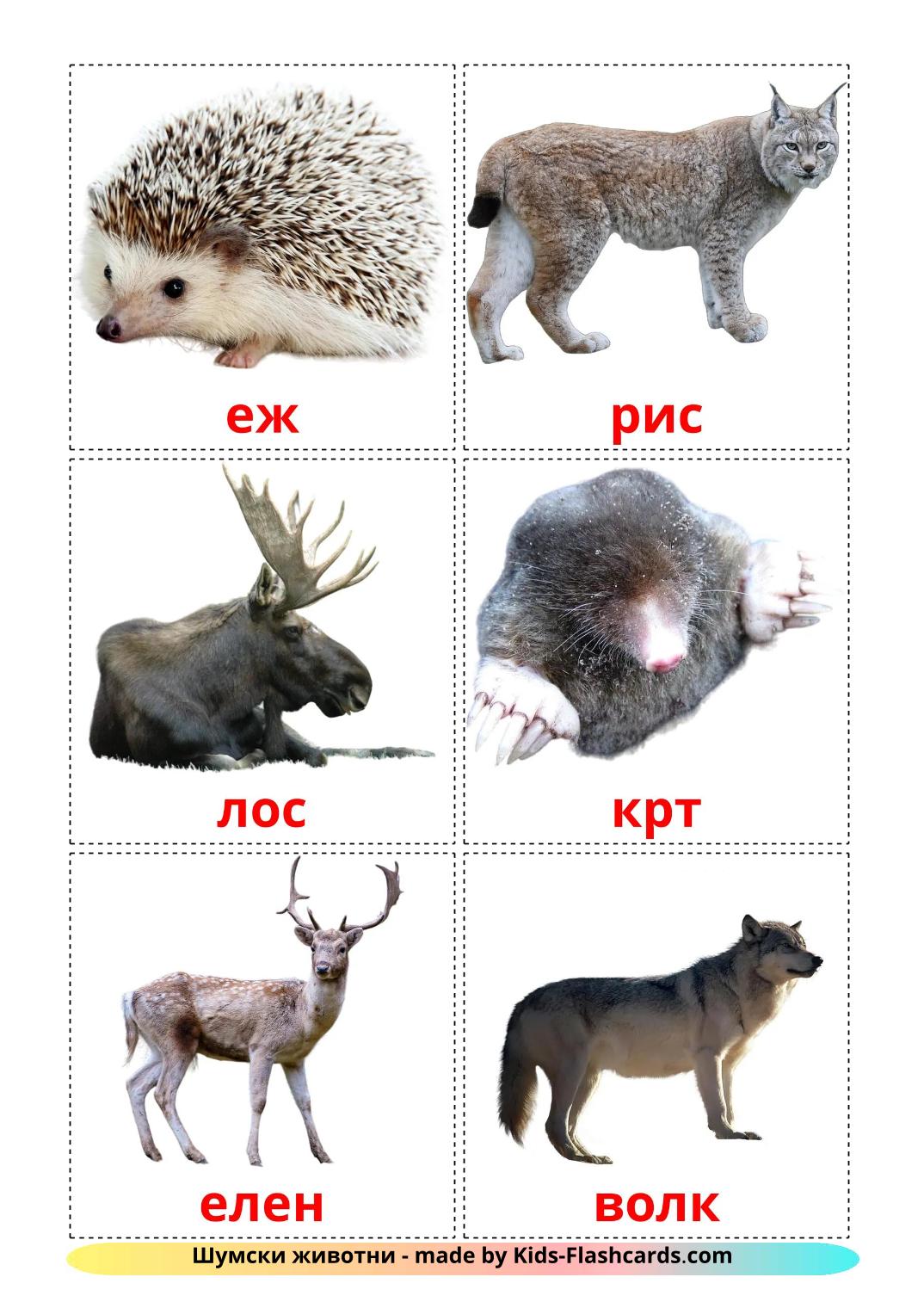 Forest animals - 23 Free Printable macedonian Flashcards 