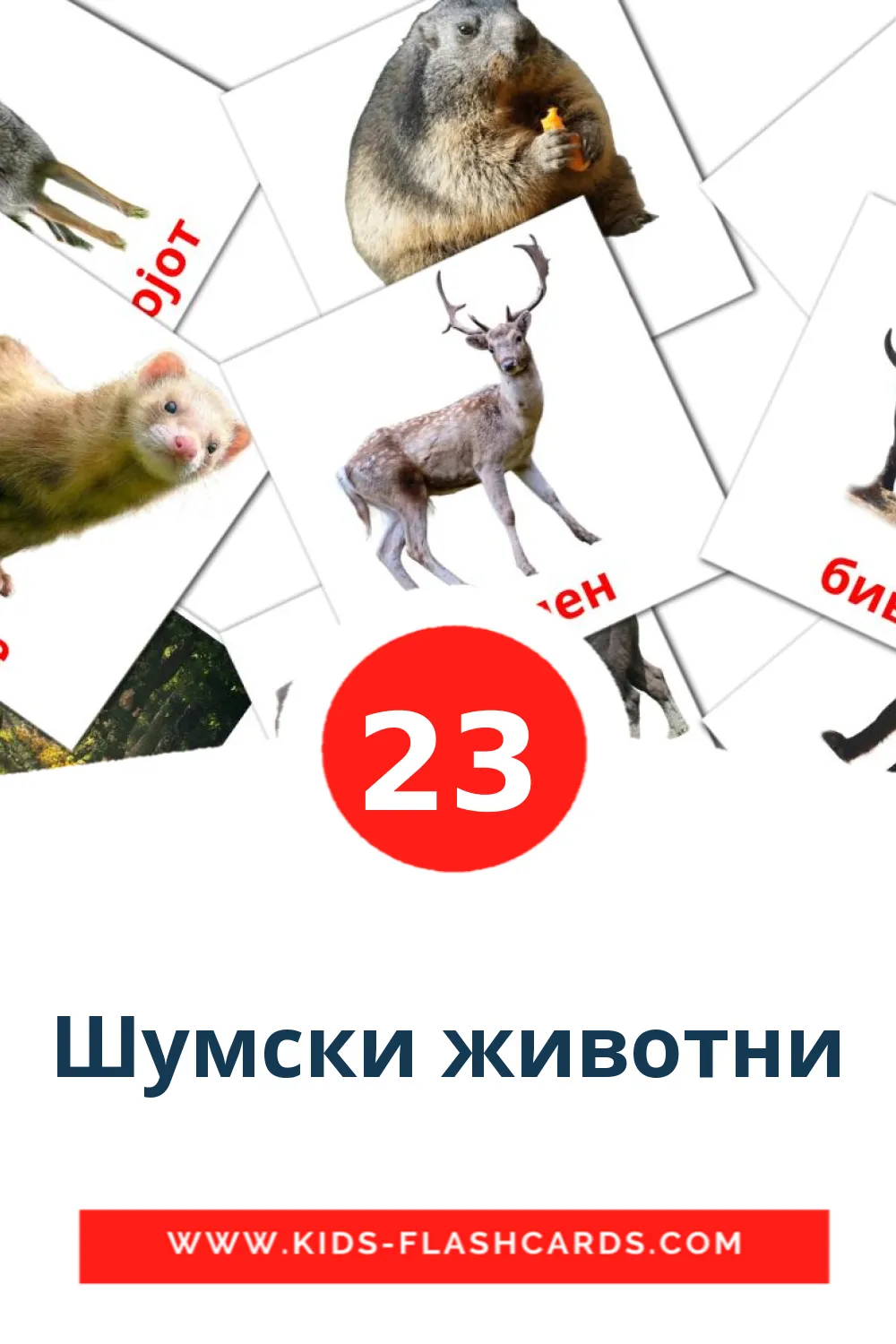 23 Шумски животни Picture Cards for Kindergarden in macedonian