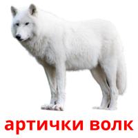 артички волк card for translate