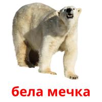 бела мечка card for translate