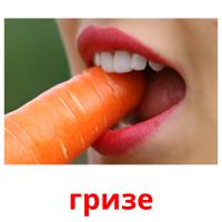 гризе picture flashcards
