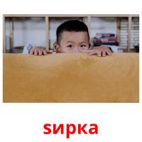 ѕирка picture flashcards