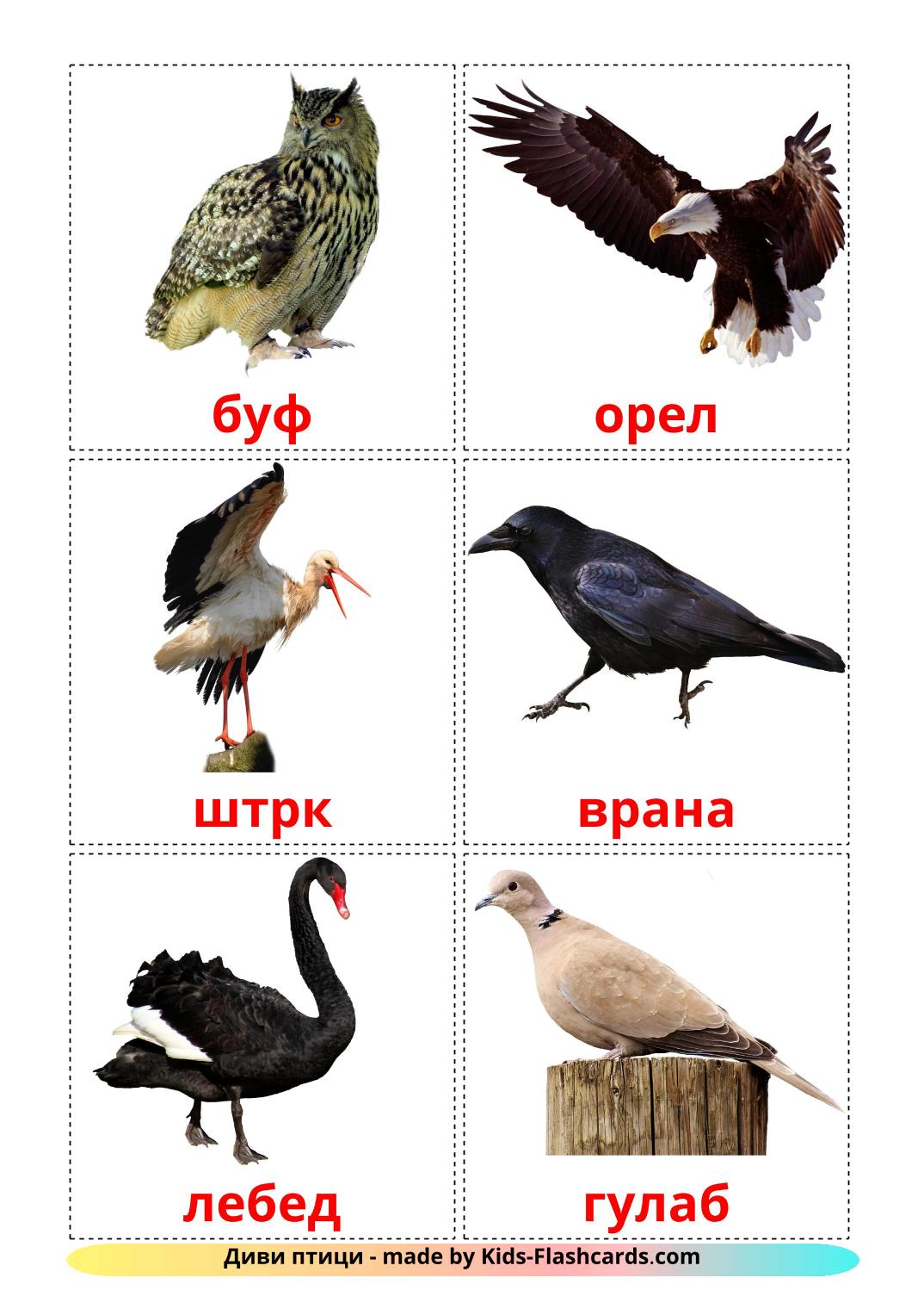 Wild birds - 18 Free Printable macedonian Flashcards 