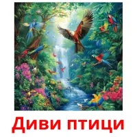 Диви птици picture flashcards