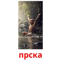 прска picture flashcards