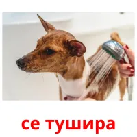 се тушира picture flashcards