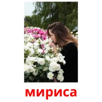 мириса карточки энциклопедических знаний