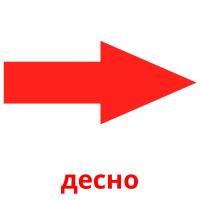 десно picture flashcards