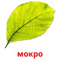 мокро picture flashcards