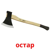 остар picture flashcards