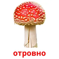 отровно picture flashcards