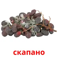 скапано picture flashcards