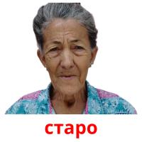 старо picture flashcards