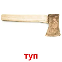 туп picture flashcards