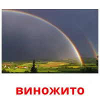 виножито picture flashcards