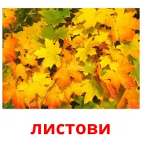 листови picture flashcards