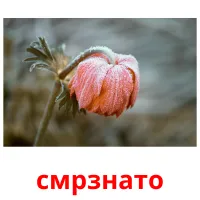 смрзнато picture flashcards