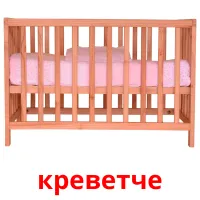 креветче picture flashcards
