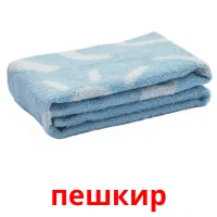 пешкир picture flashcards