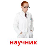 научник picture flashcards