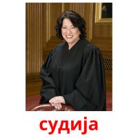 судија flashcards illustrate