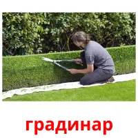 градинар cartões com imagens