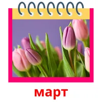 март picture flashcards