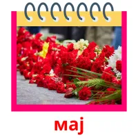 мај picture flashcards