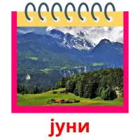 јуни picture flashcards