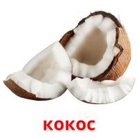 кокос card for translate