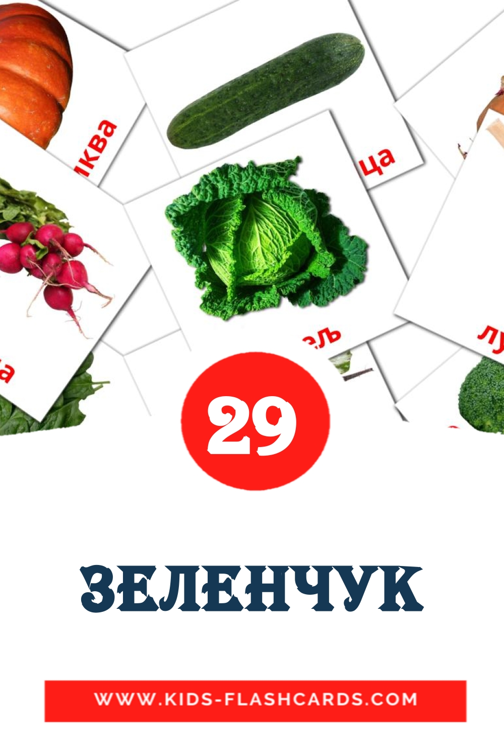 29 tarjetas didacticas de Зеленчук para el jardín de infancia en macedonio